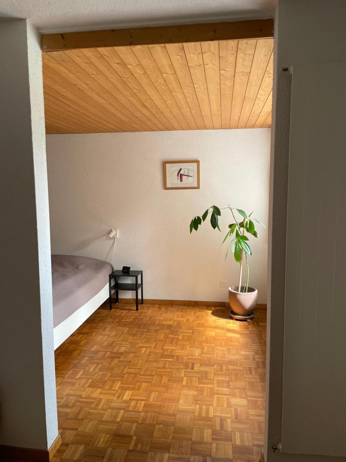 2.5 Zimmerwohnung, Pinut Trin Dış mekan fotoğraf